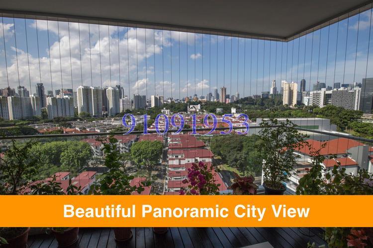 The Regency At Tiong Bahru (D3), Condominium #145192792
